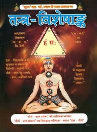 Special Issue on Tantra Paperback ( तन्त्र विशेषांक: ) By Kalyan Mandir Publication