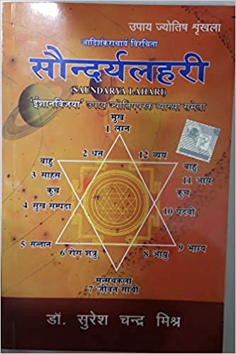 Saundarya Lahari ( सौन्दर्य लहरी ) By Pranav Publication