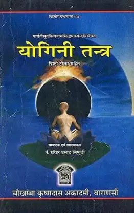 Yogini Tantra With Hindi Translation ( योगिनी तन्त्र ) By Chaukhamba Publication