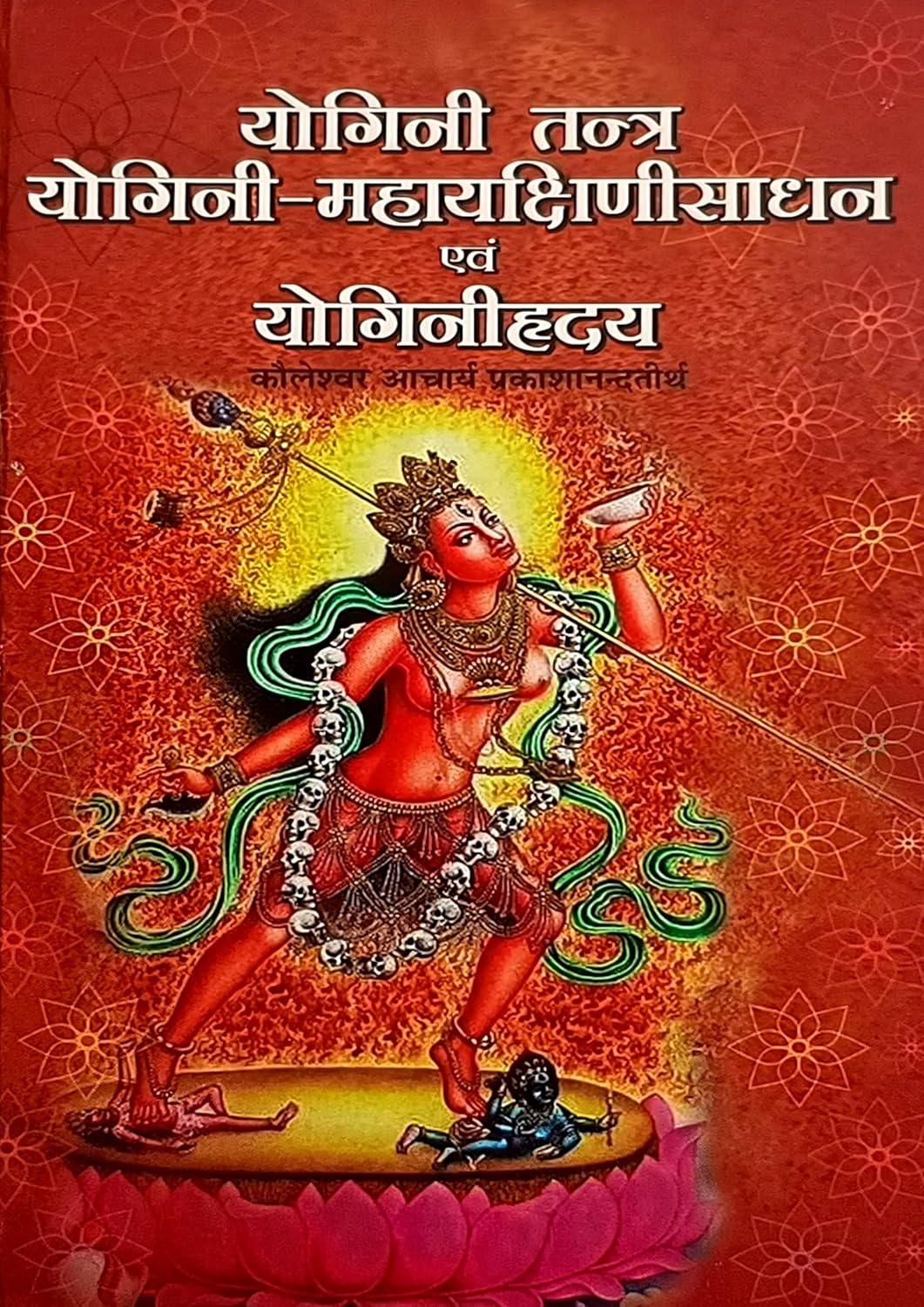 Yogini Tantra , Yogini Maha Yakshini Sadhan Evam Yogini Hriday (Hindi, Hardcover ( योगिनी तन्त्र ,योगिनी महायक्षिणीसाधन एवं योगिनीहृदय  ) By D.P.B Publication