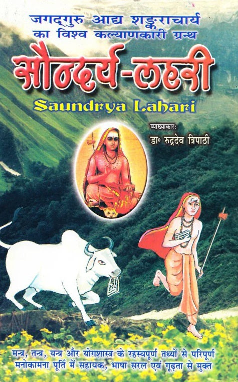 Saundarya Lahari  By Dr. Rudradev Tripathi