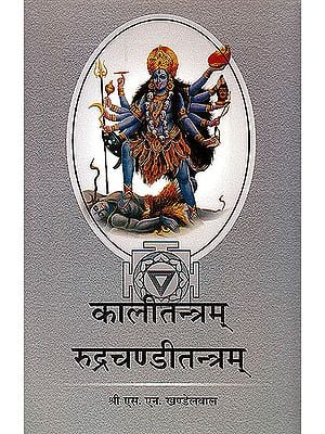 Kali Tantra and Rudra Chandi Tantram ( कालीतन्त्रम रूद्रचण्डीतन्त्रम ) By S.N. KHANDELWAL